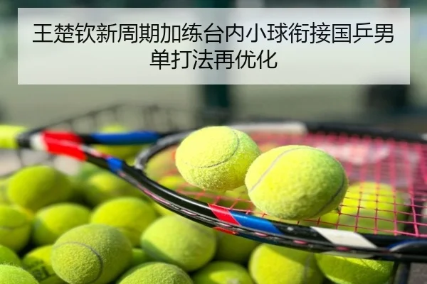 王楚钦新周期加练台内小球衔接国乒男单打法再优化